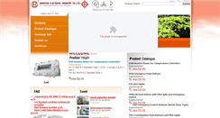 Desktop Screenshot of bosstonexp.com